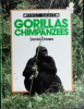 Gorillas_and_chimpanzees