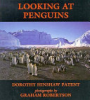 Looking_at_penguins___Dorothy_Hinshaw_Patent___photographs_by_Graham_Robertson