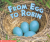 From_egg_to_robin