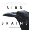 Bird_brains