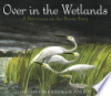 Over_in_the_wetlands