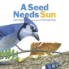 A_seed_needs_sun