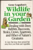 Wildlife_in_your_garden__or__Dealing_with_deer__rabbits__racoons__moles__crows__sparrows__and_other_of_Nature_s_creatures_in_ways_that_keep_them_around__but_away_from_your_fruits_and_vegetables