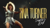 Tina_Turner__Simply_the_Best