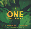 One_tiny_treefrog