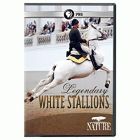 Legendary_white_stallions
