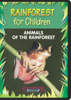 Rainforest_for_children