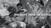 Olive_Trees_of_Justice
