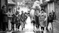 The_Big_Animal