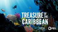 Treasure_of_the_Caribbean