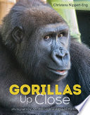 Gorillas_up_close
