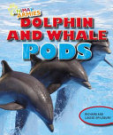 Dolphin_and_whale_pods