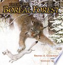 Life_in_the_boreal_forest