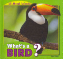 What_s_a_bird_