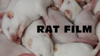 Rat_Film