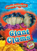 Giant_clams