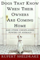 Dogs_that_know_when_their_owners_are_coming_home