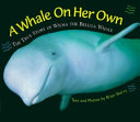 A_whale_on_her_own