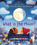 What_is_the_moon_