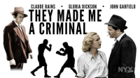 They_Made_Me_a_Criminal