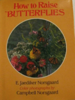 How_to_raise_butterflies