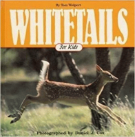 Whitetails_for_kids