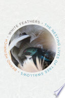 White_feathers