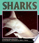 Sharks___by_Ruth_Berman___photographs_by_Jeffrey_L__Rotman