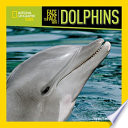 Face_to_face_with_dolphins