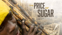 The_Price_of_Sugar