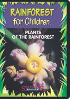 Rainforest_for_children