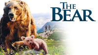 The_Bear