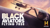 Black_Aviators__Flying_Free