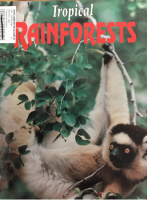 Tropical_rainforests