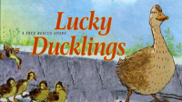 Lucky_Ducklings