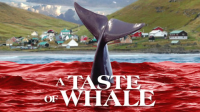 A_Taste_of_Whale