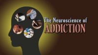 The_Neuroscience_of_Addiction