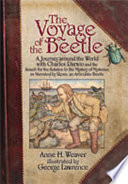 The_voyage_of_the_beetle