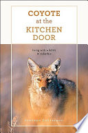 Coyote_at_the_kitchen_door