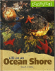 Life_on_an_ocean_shore