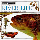 River_life