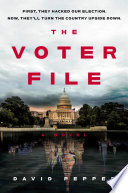 The_voter_file