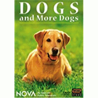 Dogs_and_more_dogs